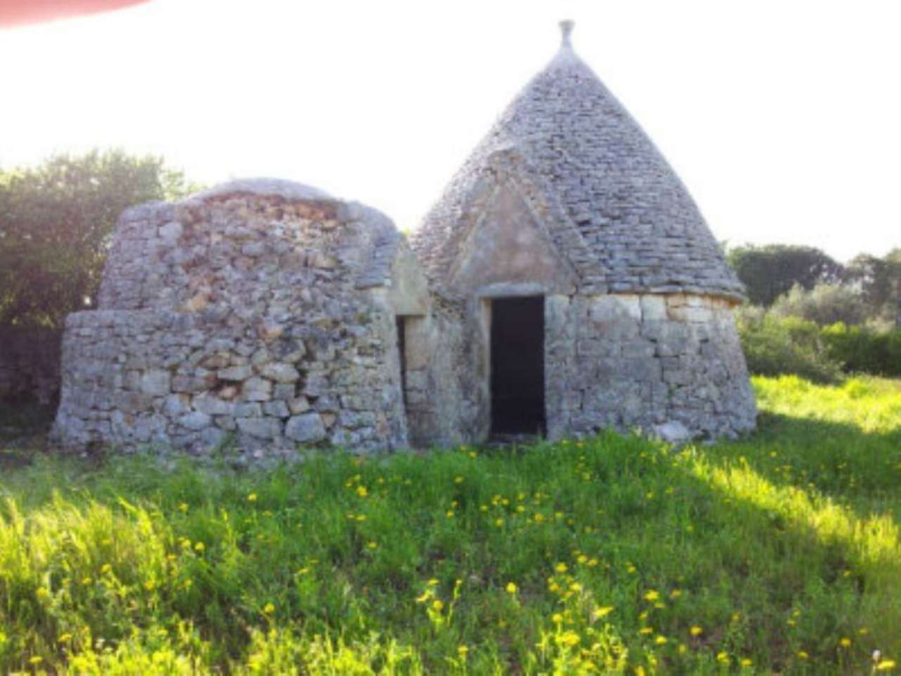 Baita - Chalet - Trullo OSTUNI vendita    Immobiliare LaTorre