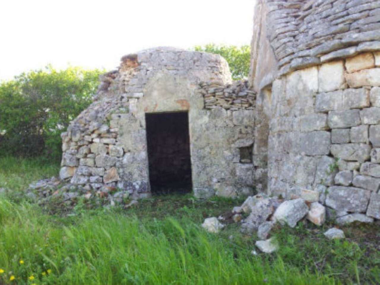 Baita - Chalet - Trullo OSTUNI vendita    Immobiliare LaTorre