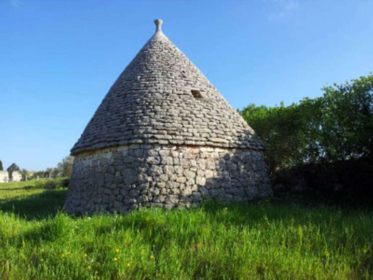 Baita - Chalet - Trullo OSTUNI vendita    Immobiliare LaTorre