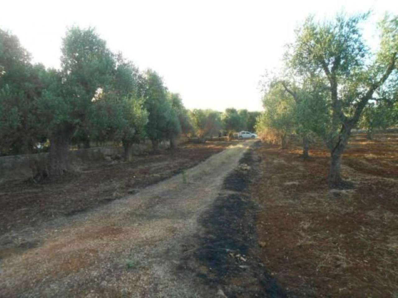 Rustico - Cascina OSTUNI vendita    Immobiliare LaTorre