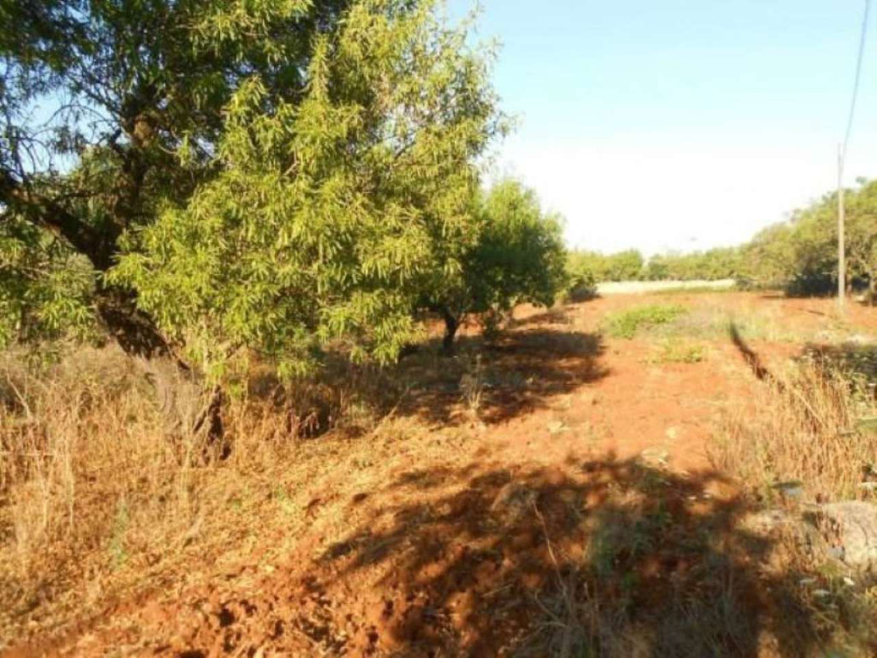 Rustico - Cascina OSTUNI vendita    Immobiliare LaTorre