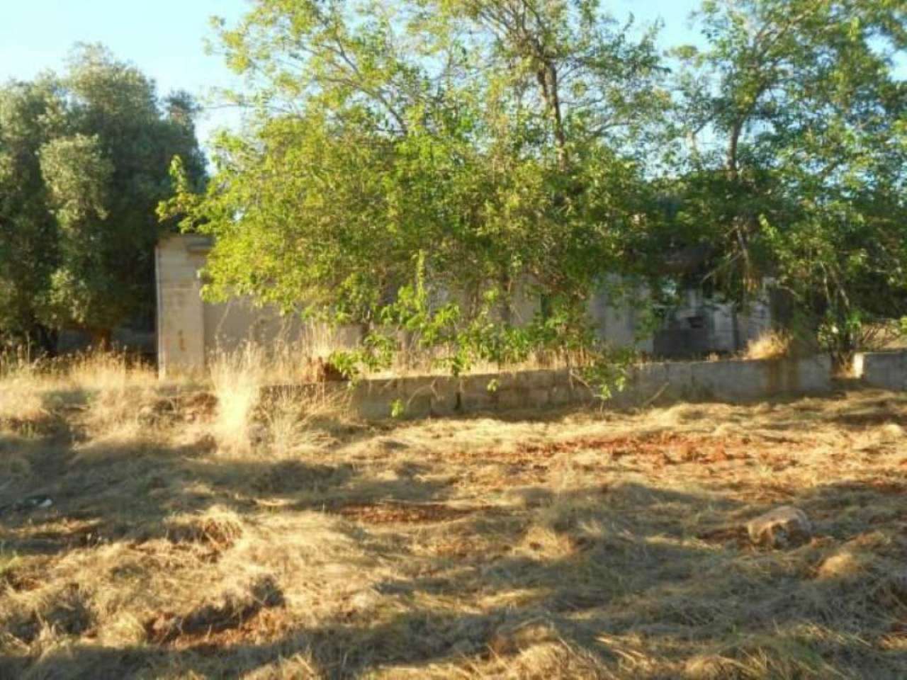 Rustico - Cascina OSTUNI vendita    Immobiliare LaTorre