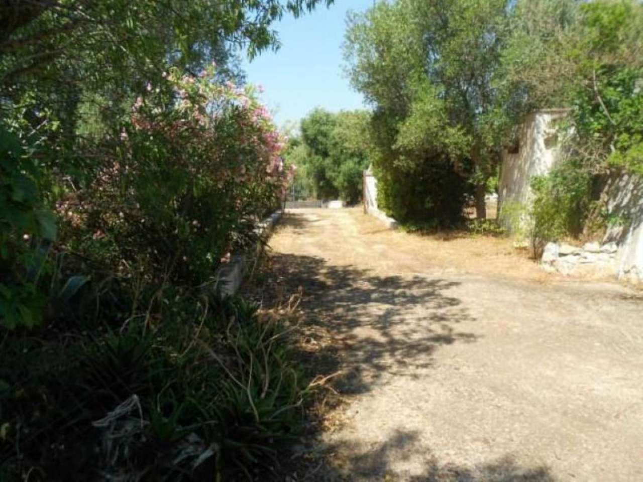Rustico - Cascina OSTUNI vendita    Immobiliare LaTorre