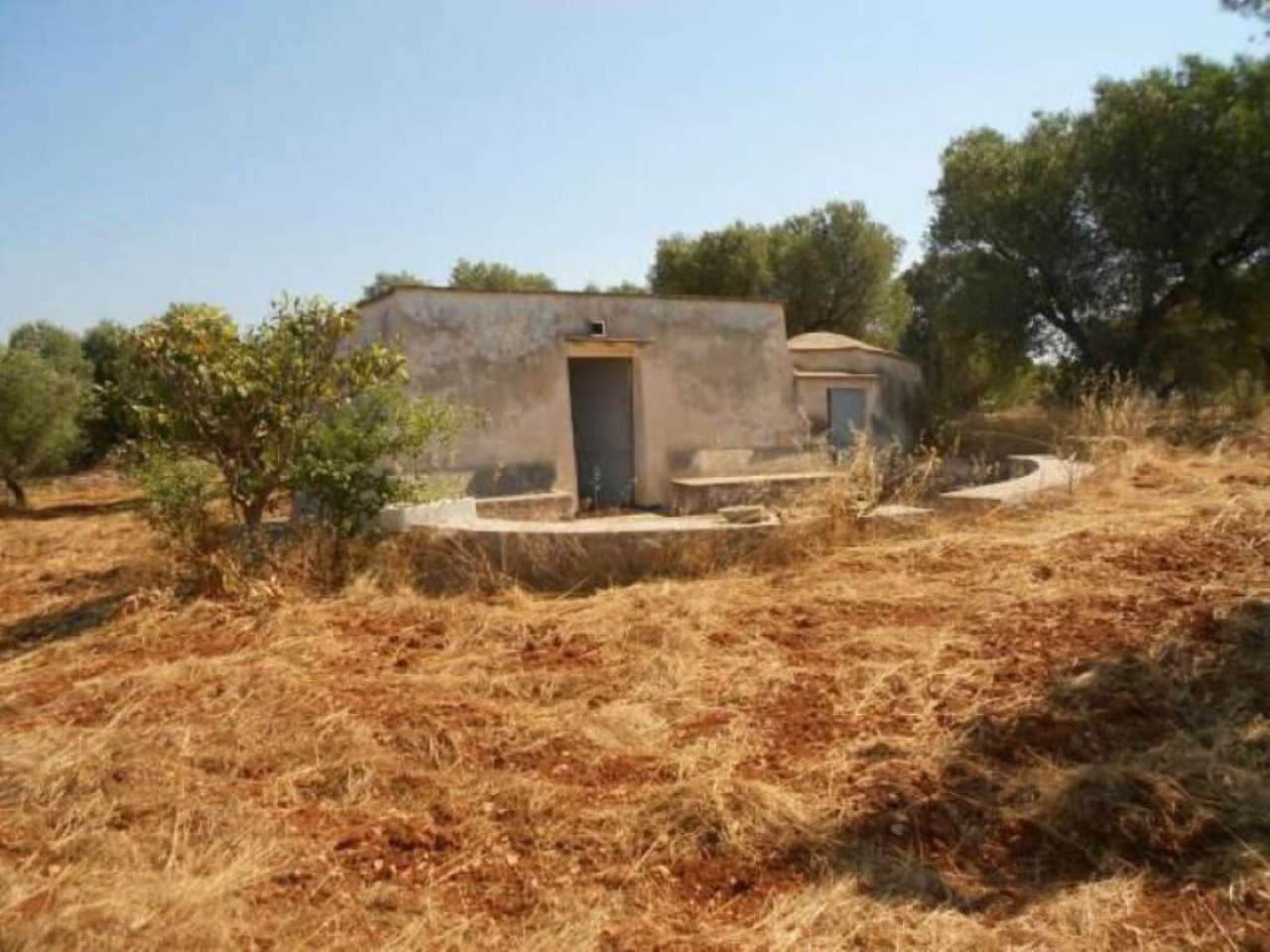 Baita - Chalet - Trullo OSTUNI vendita    Immobiliare LaTorre