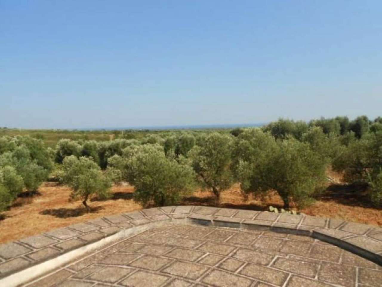 Baita - Chalet - Trullo OSTUNI vendita    Immobiliare LaTorre