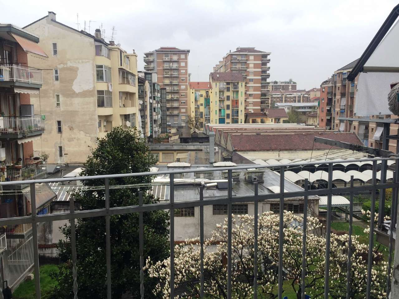 Appartamento TORINO vendita  CENISIA Monginevro DiStasio RealEstate