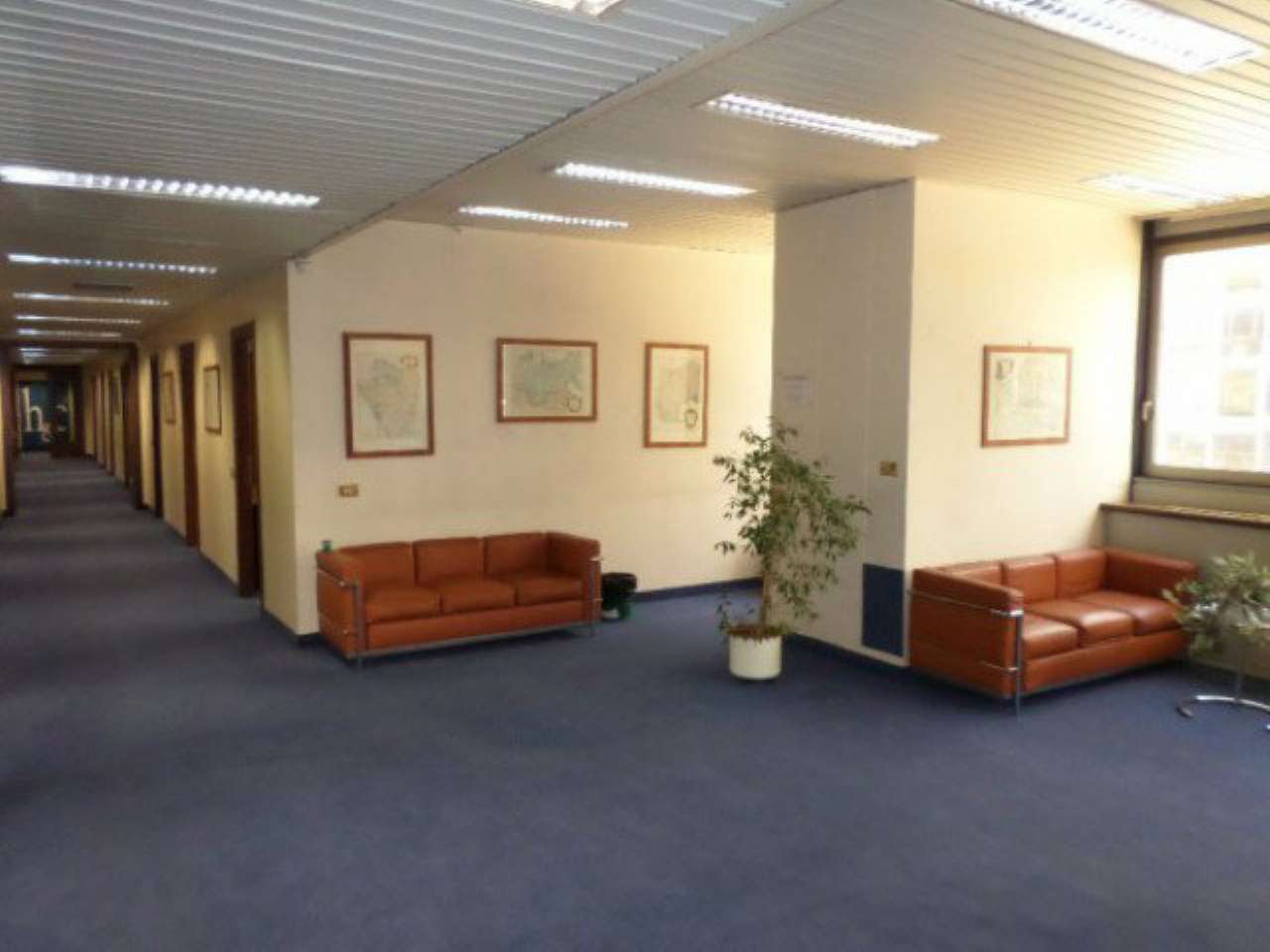 Ufficio - Loc.Com. MILANO affitto  BONOLA CECHOV SPADI real estate agency