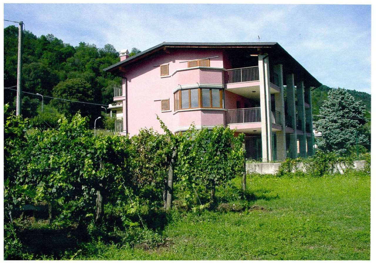 Appartamento CAPRIOLO vendita   colzano FERRARI IMMOBILI REAL ESTATE SRL