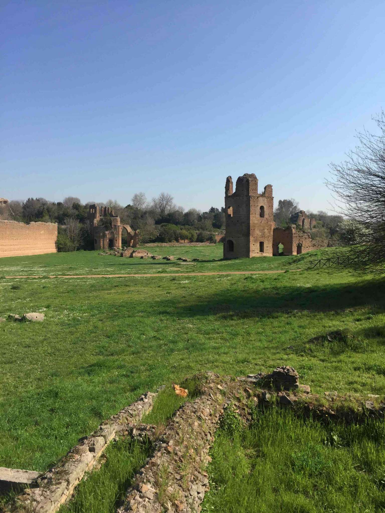 Appartamento ROMA vendita  Appia antica appia antica Flaminia immobiliare snc di Corrado Pace & c