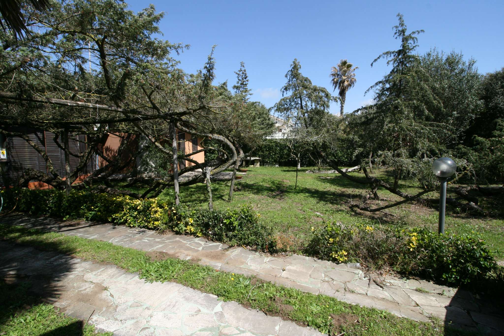 Villa FIUMICINO vendita   VIA FOCE VERDE Home Consulting