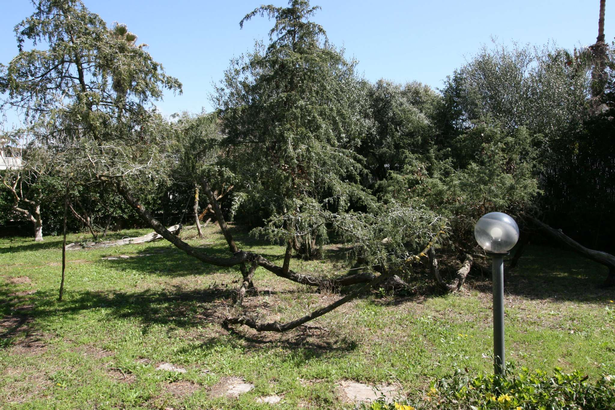 Villa FIUMICINO vendita   VIA FOCE VERDE Home Consulting