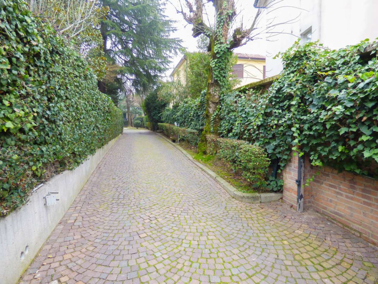 Appartamento PADOVA vendita  BRENTA VIA EGIDIO FORCELLINI VENETO CASE S.R.L