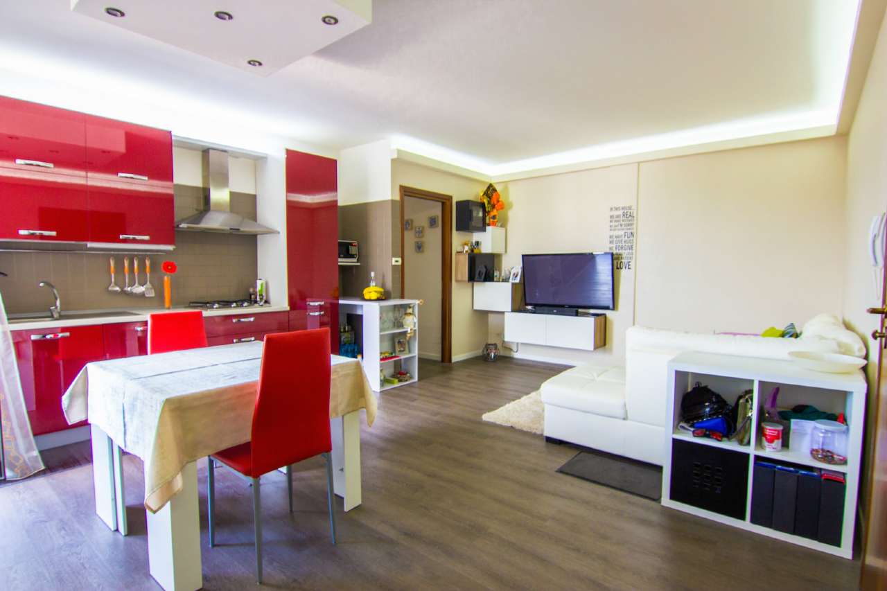Appartamento VIGONZA vendita    VENETO CASE S.R.L