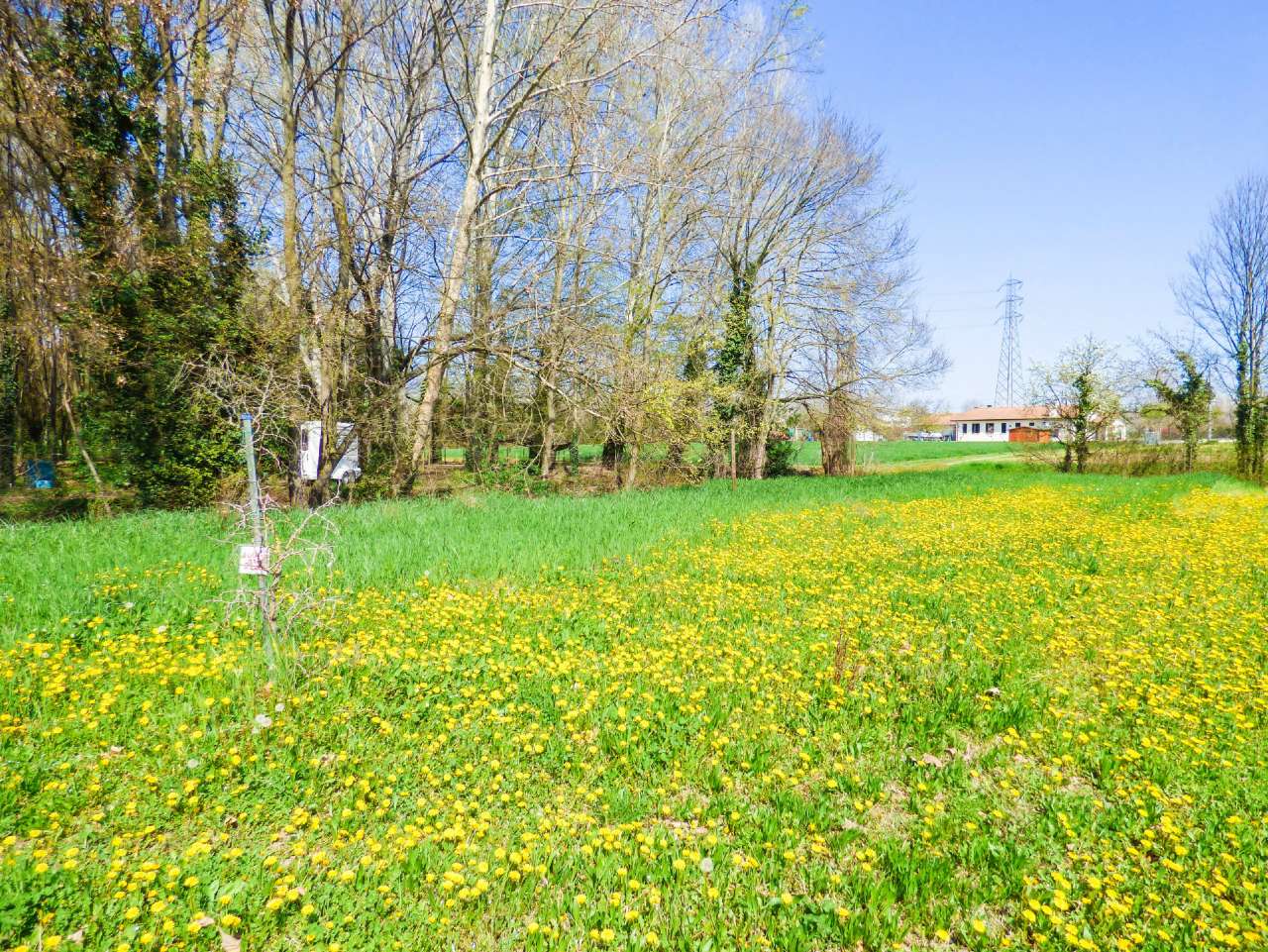 Appartamento PADOVA vendita  BRENTA VIA NUOVA ZELANDA VENETO CASE S.R.L