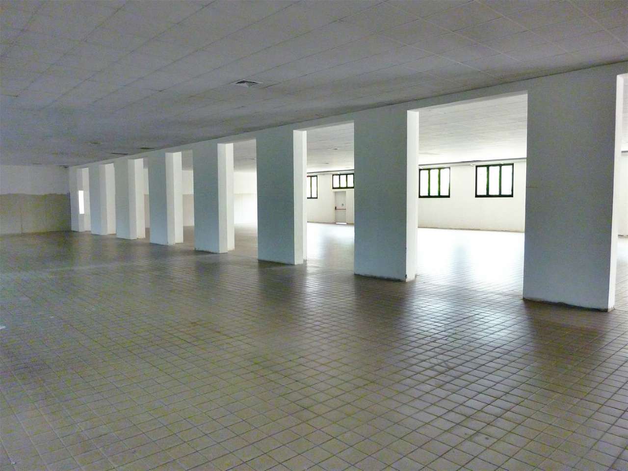 Capannoni (Tutti) PADOVA affitto  ARCELLA  VENETO CASE S.R.L