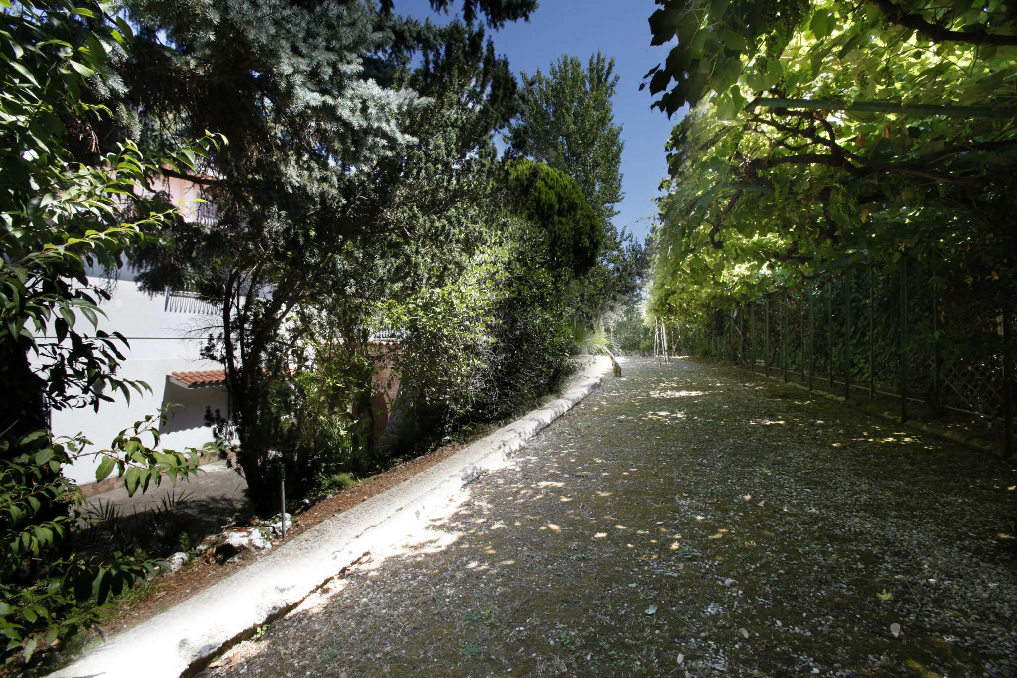 Villa Trifamiliare ROMA vendita  ACILIA Prassilla Aries Gruppo Immobiliare