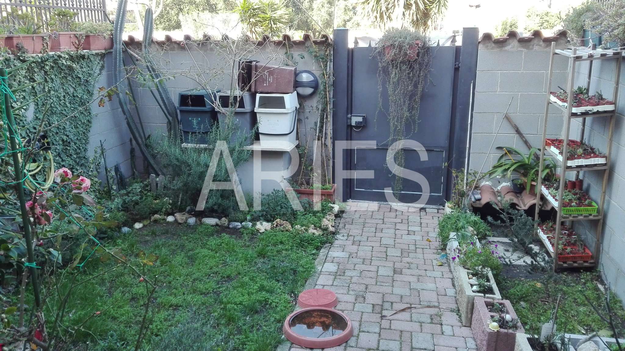 Villa Affiancata - Schiera POMEZIA vendita   MONTEVIDEO Aries Gruppo Immobiliare