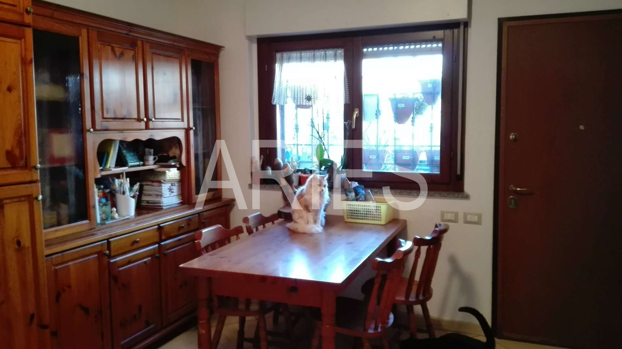 Villa Affiancata - Schiera POMEZIA vendita   MONTEVIDEO Aries Gruppo Immobiliare