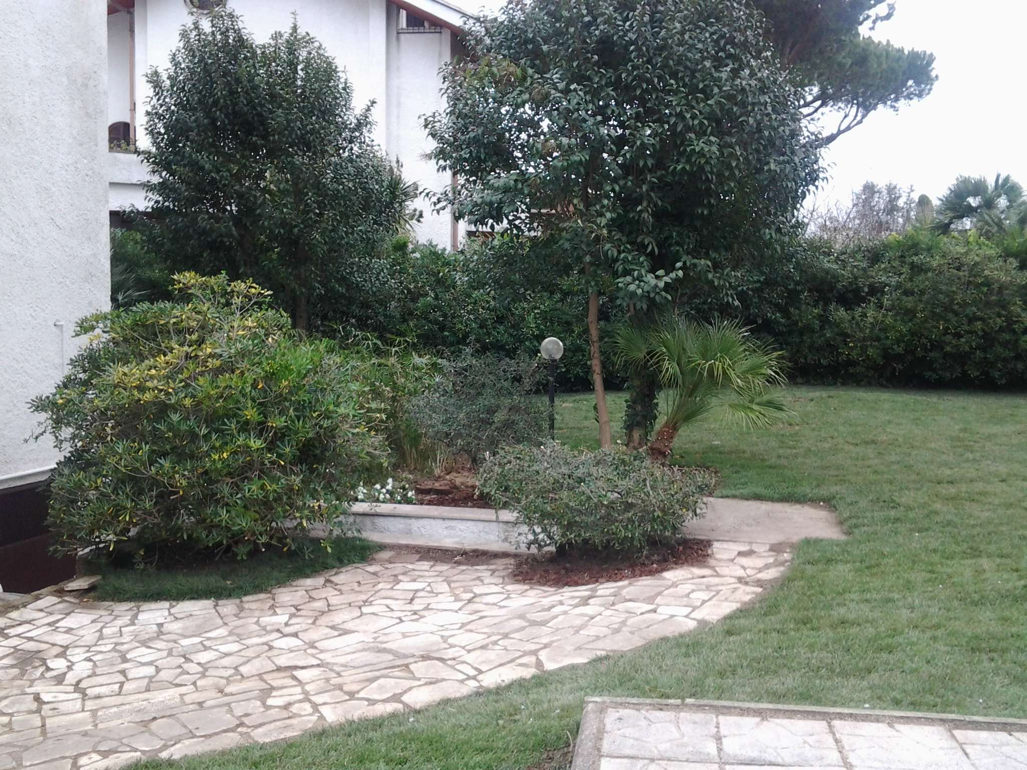 Villa Trifamiliare ROMA vendita  ACILIA Niceneto Aries Gruppo Immobiliare