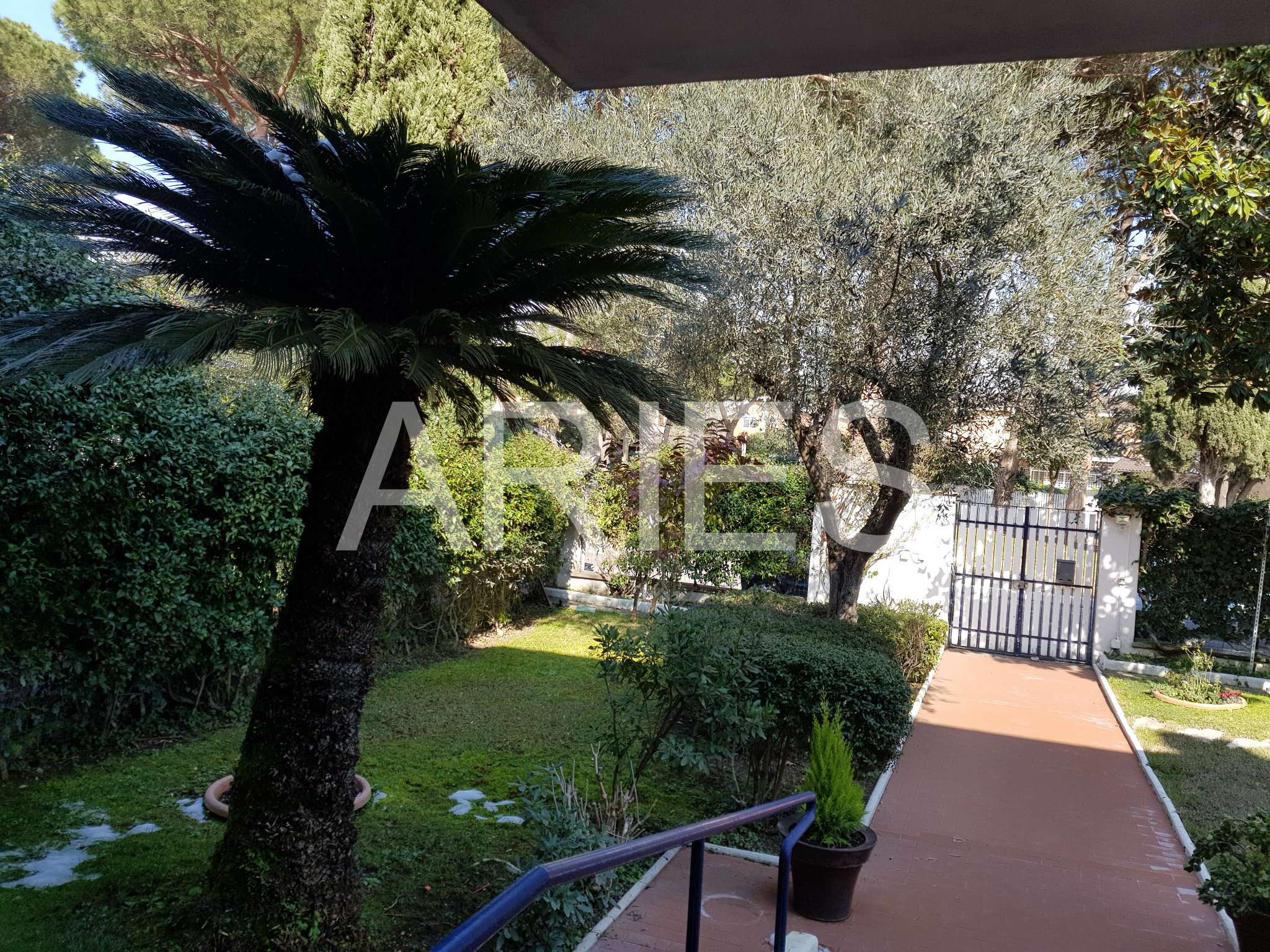 Villa Affiancata - Schiera ROMA vendita  ACILIA di Casalpalocco Aries Gruppo Immobiliare