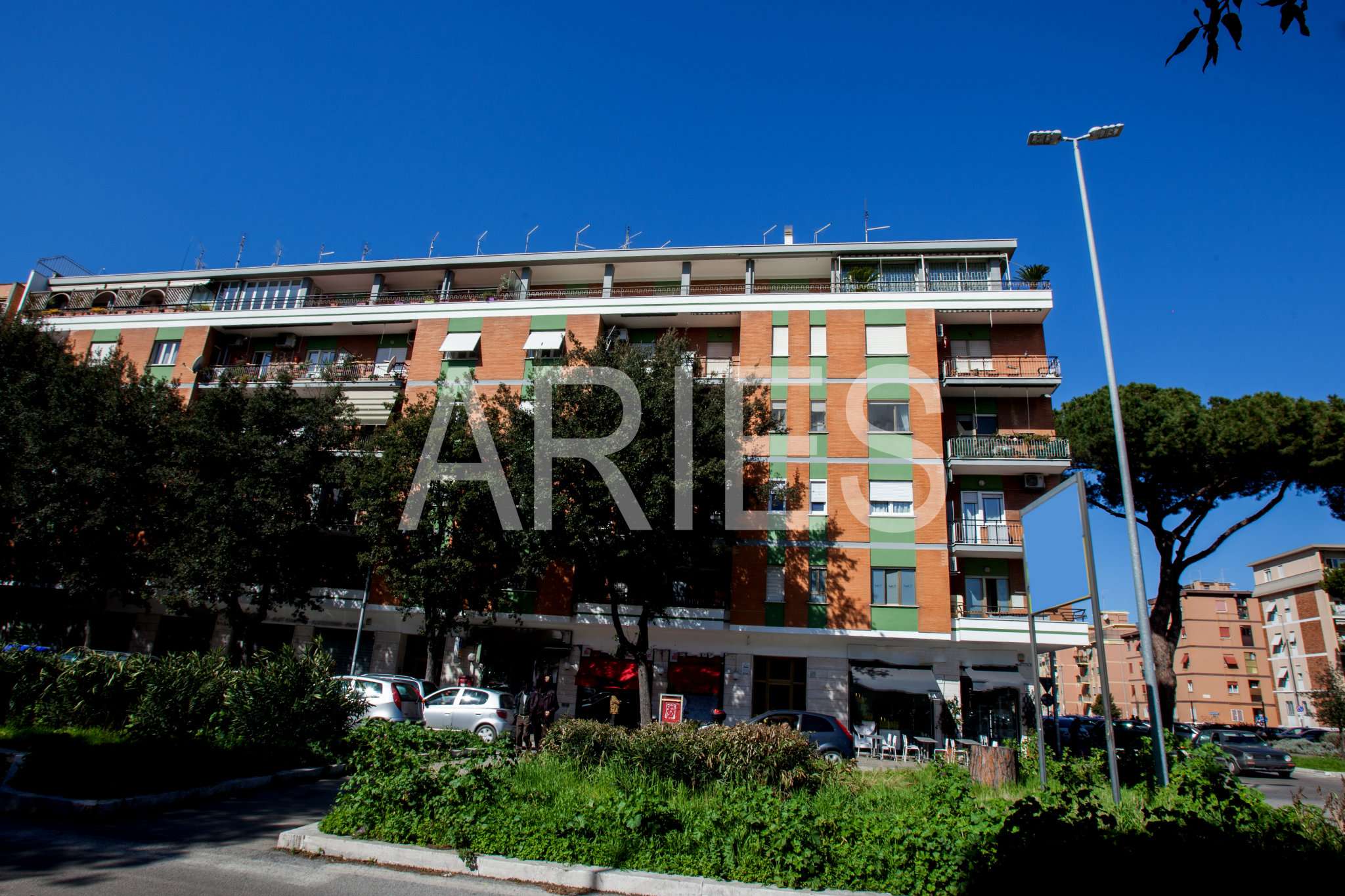 Attico ROMA vendita  LIDO DI OSTIA LEVANTE Carlo del Greco Aries Gruppo Immobiliare