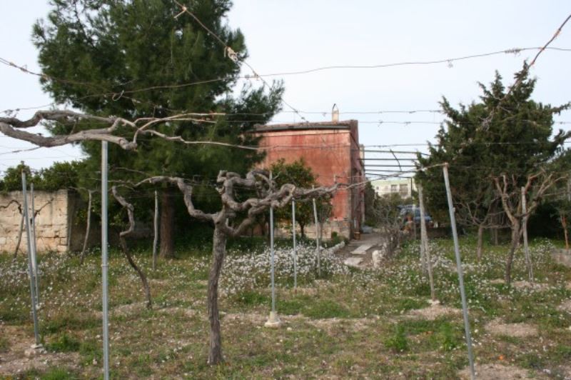 Rustico - Cascina BISCEGLIE vendita   Crosta ugo la malfa Studio Bisceglie Centro di Turchiano Nicola