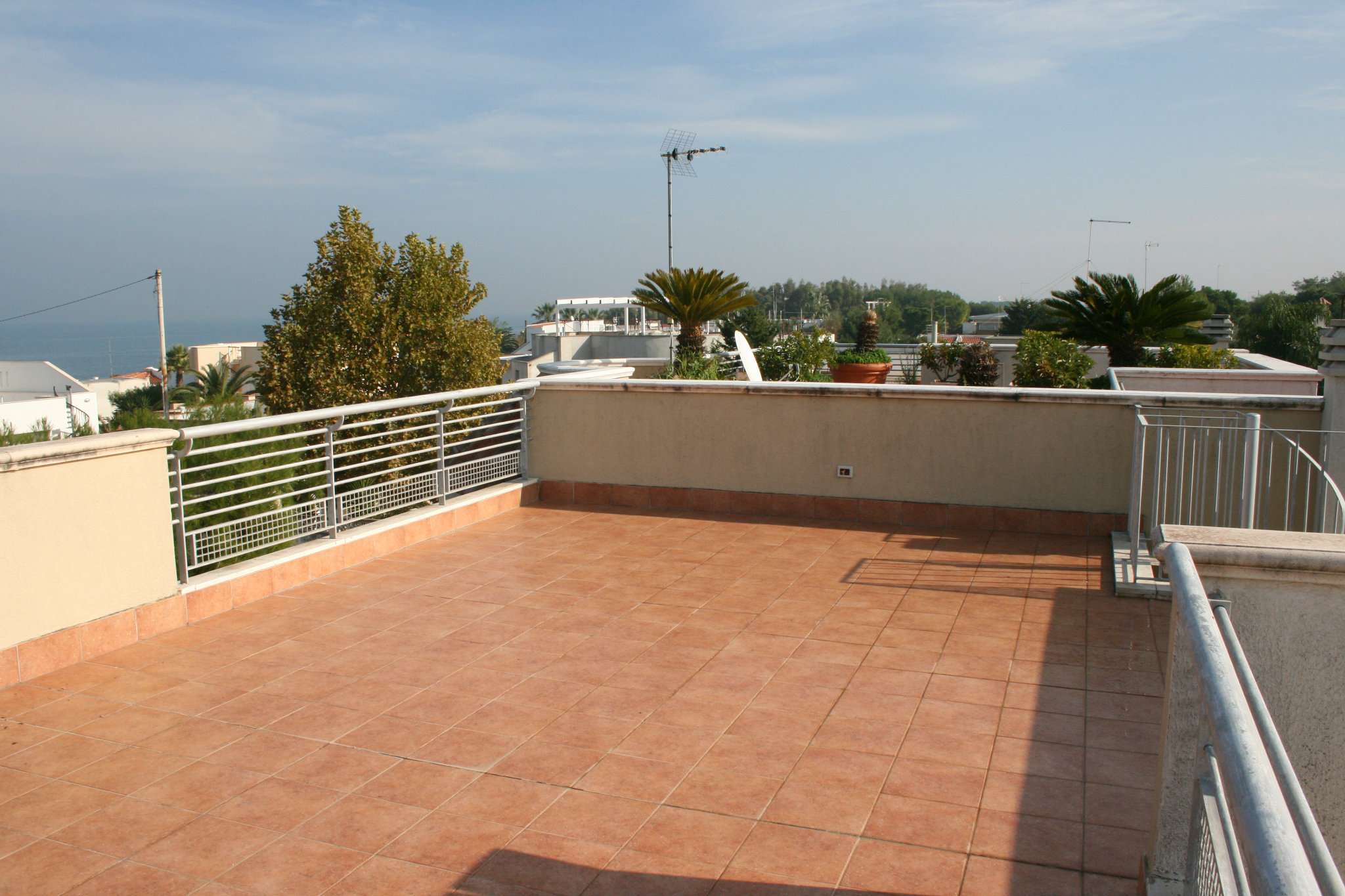  bisceglie vendita quart:  studio-bisceglie-centro-di-turchiano-nicola