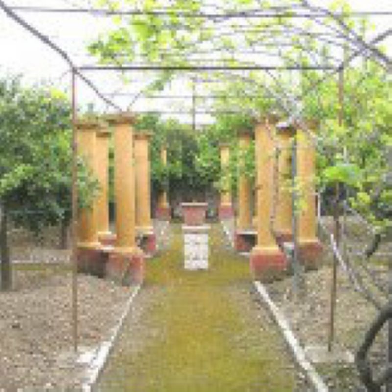 Villa BISCEGLIE vendita   Carrara  S. Francesco Studio Bisceglie Centro di Turchiano Nicola