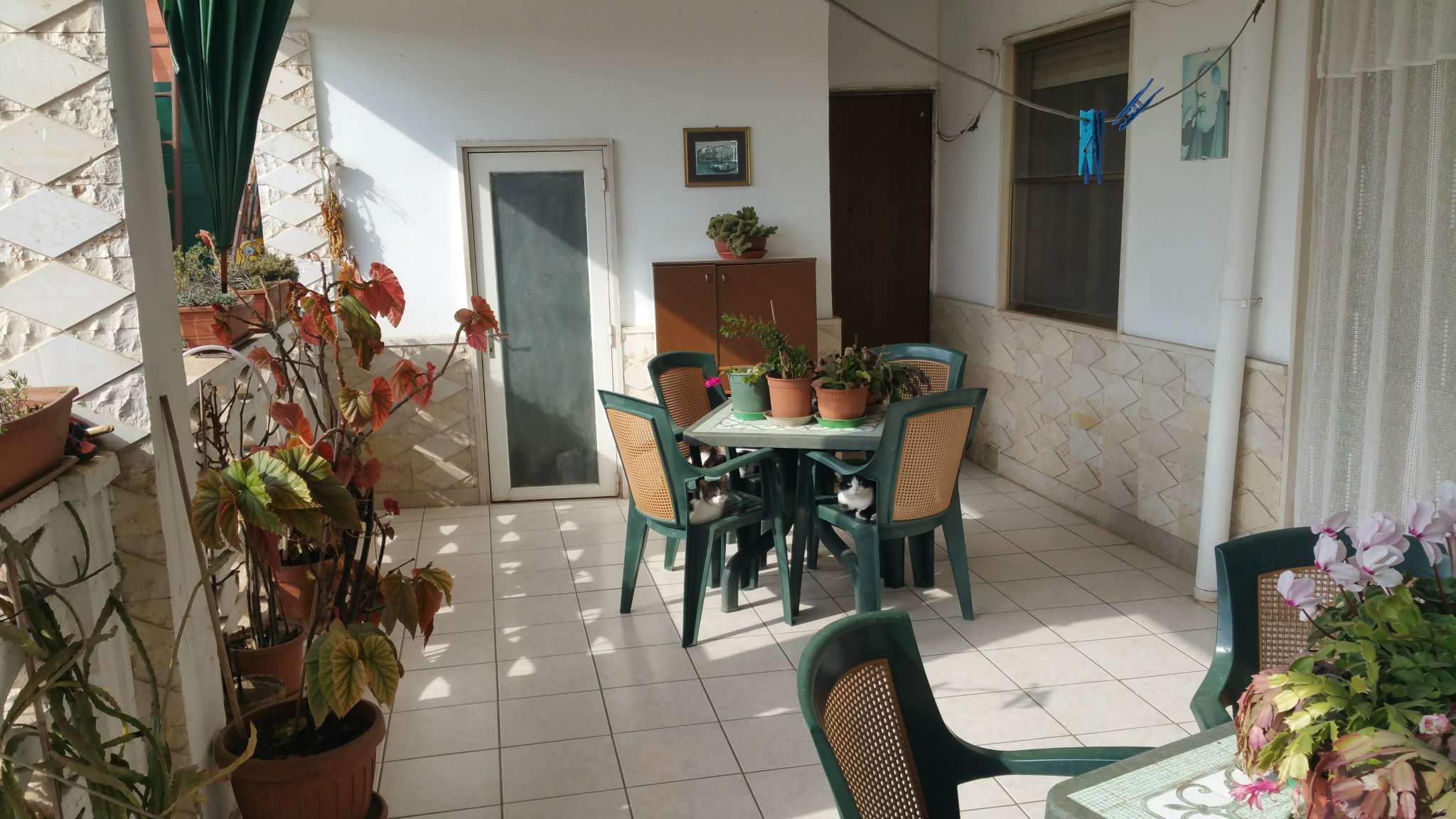  bisceglie vendita quart:  studio-bisceglie-centro-di-turchiano-nicola