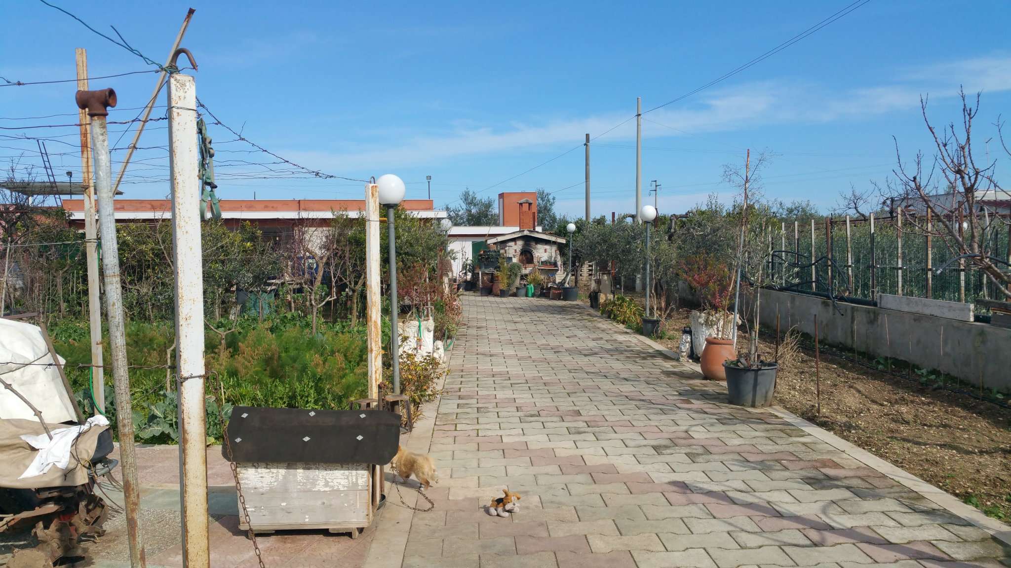 Villa BISCEGLIE vendita   Carrara del carro Studio Bisceglie Centro di Turchiano Nicola