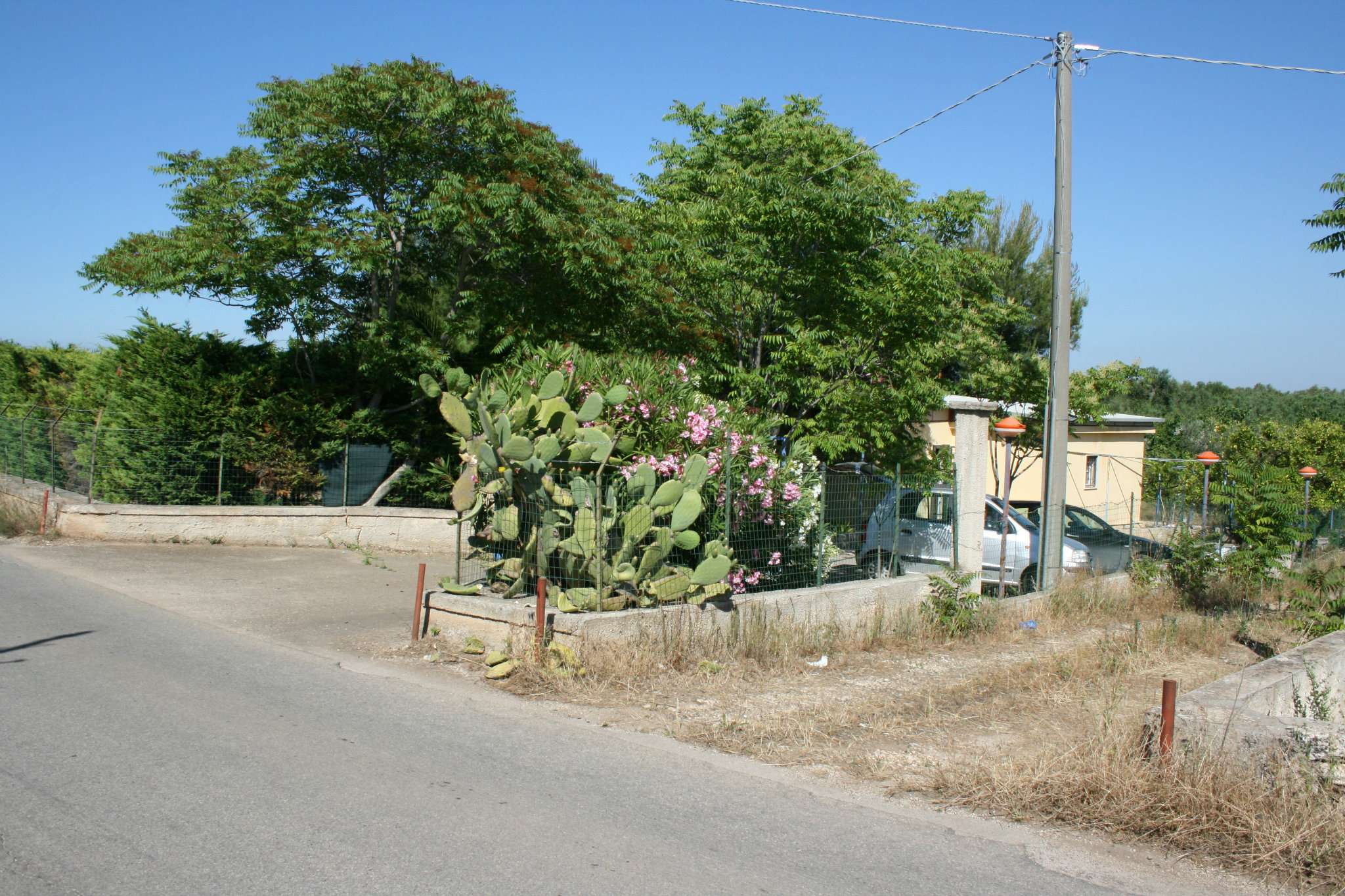 Villa BISCEGLIE vendita   ruvo Studio Bisceglie Centro di Turchiano Nicola