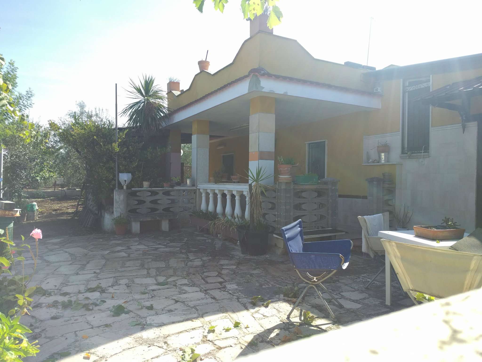 Villa BISCEGLIE vendita   ZAPPINO Studio Bisceglie Centro di Turchiano Nicola