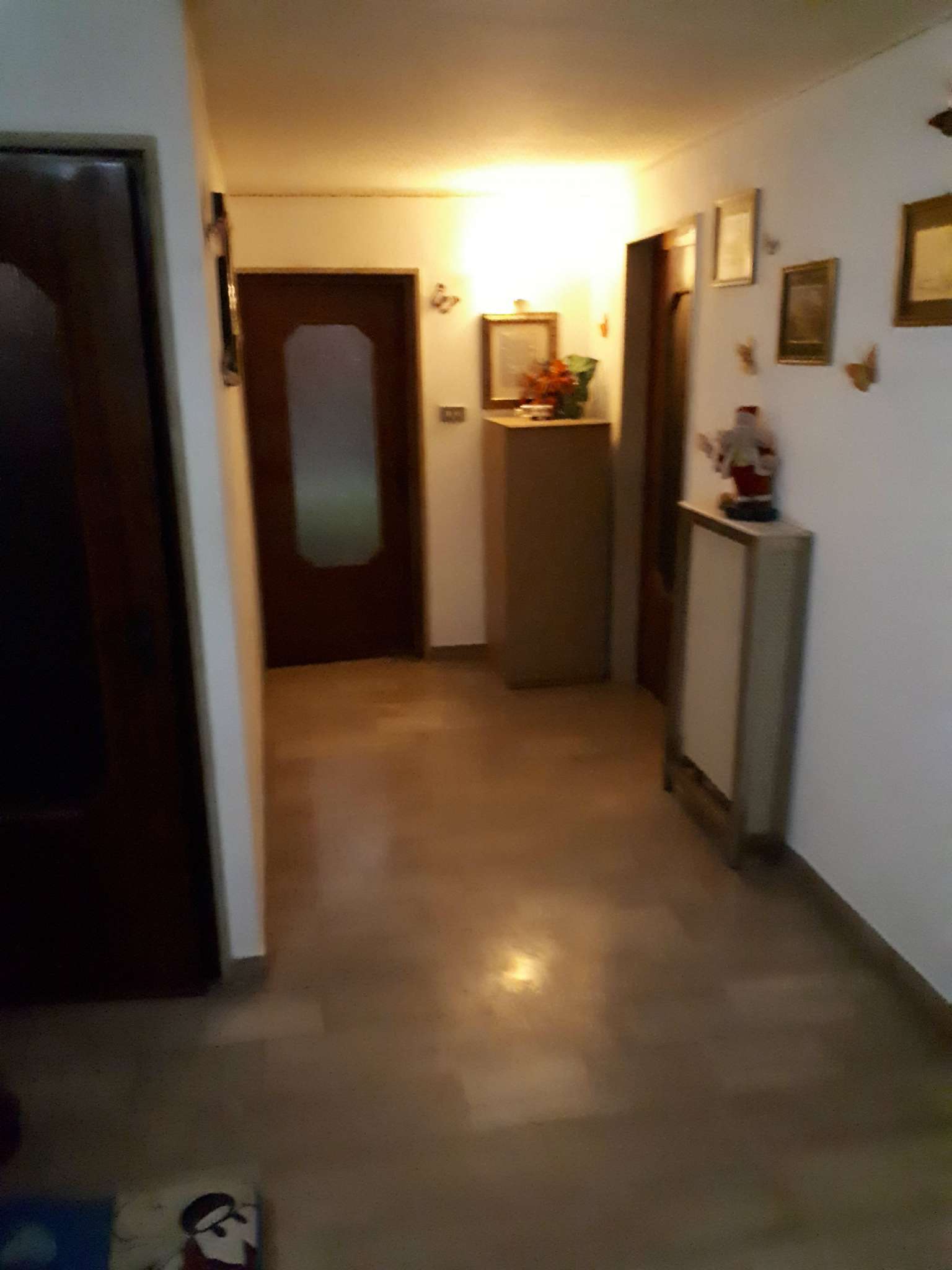 Appartamento BISCEGLIE vendita   Alighieri Studio Bisceglie Centro di Turchiano Nicola