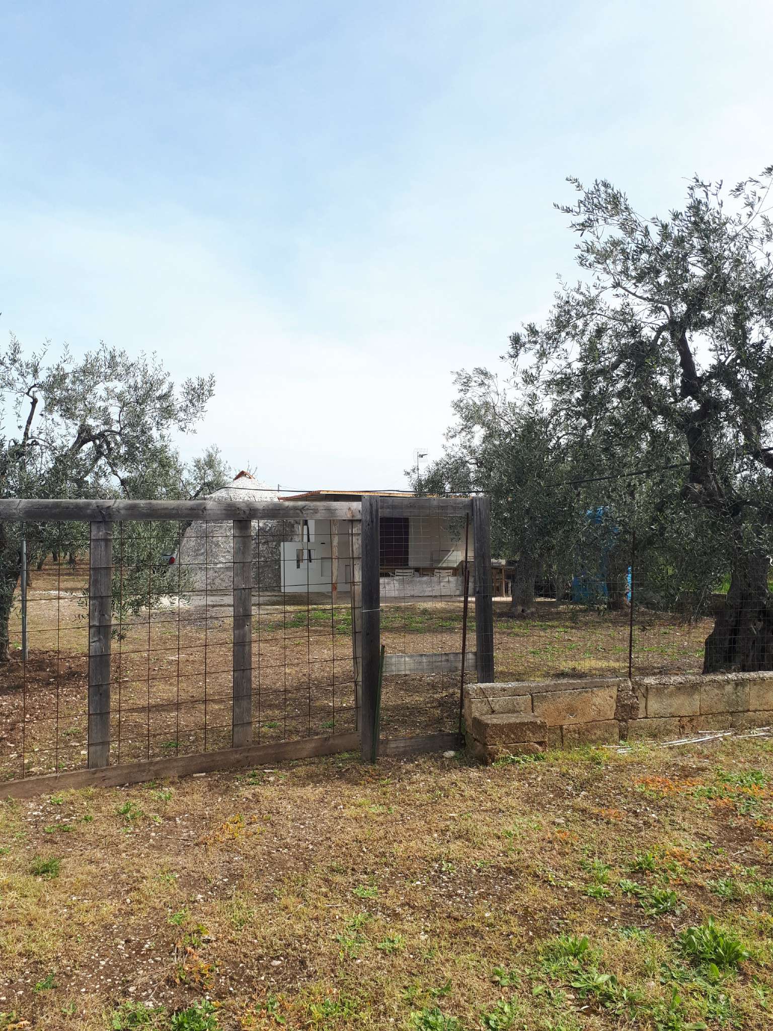  bisceglie vendita quart:  studio bisceglie centro di turchiano nicola