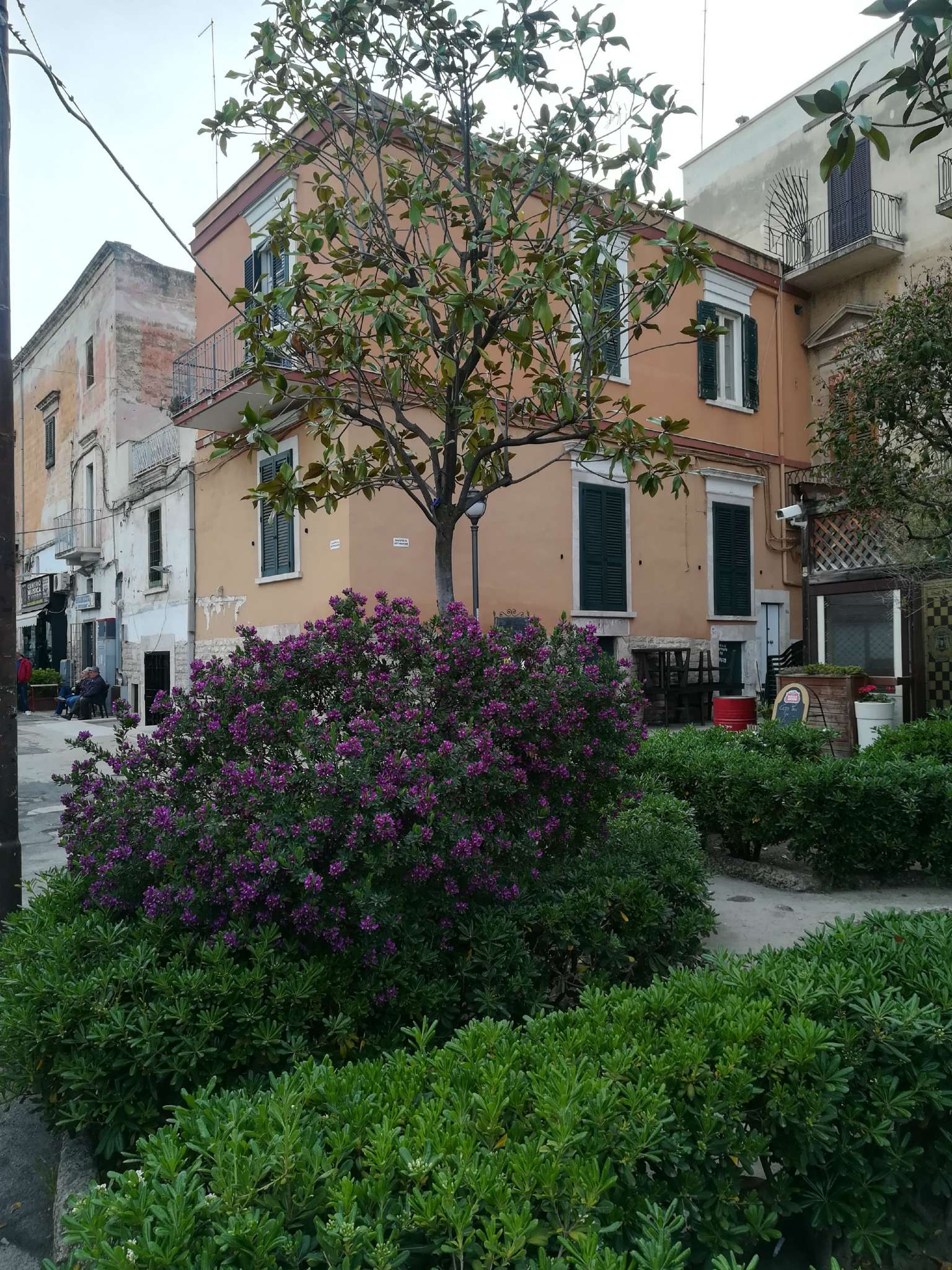  bisceglie vendita quart:  studio bisceglie centro di turchiano nicola