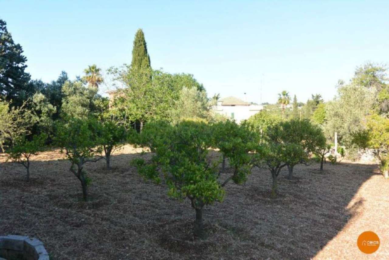 Villa NOTO vendita   Lenzavacche Oikos Immobiliare