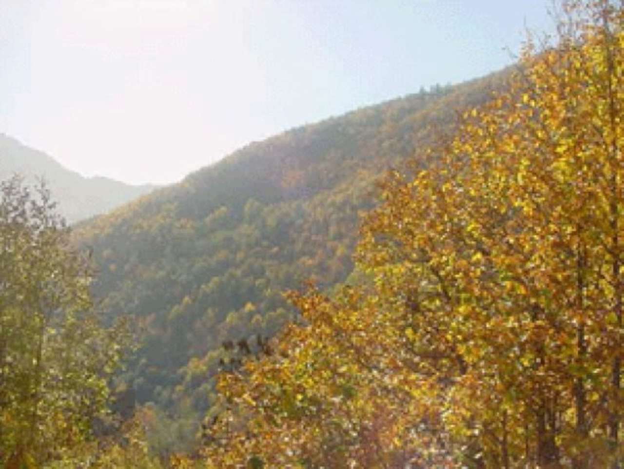 Villa Unifamiliare - Indipendente ORMEA vendita   Martinetto Isigest Immobili