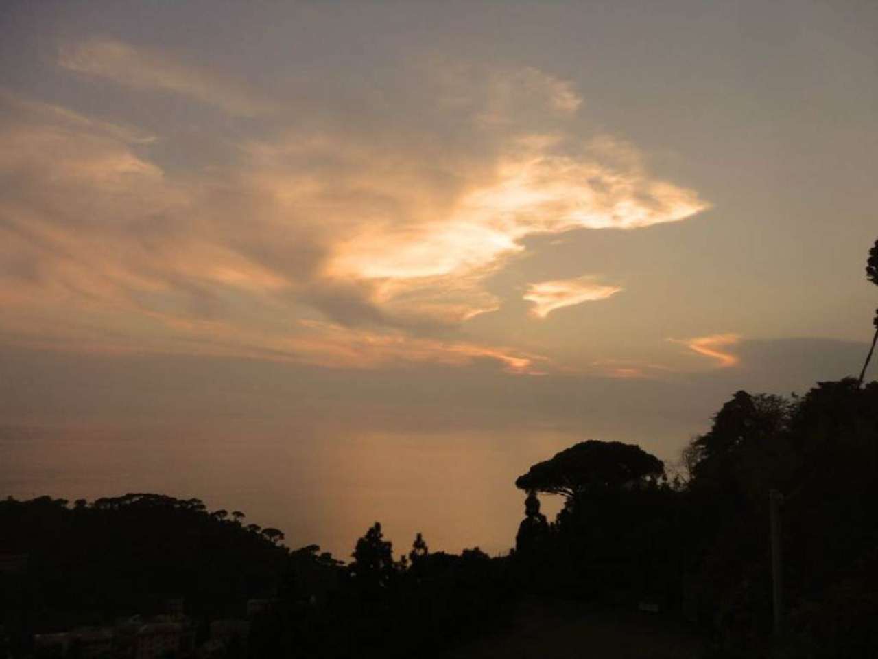 Appartamento CAMOGLI vendita   Aurelia Isigest Immobili