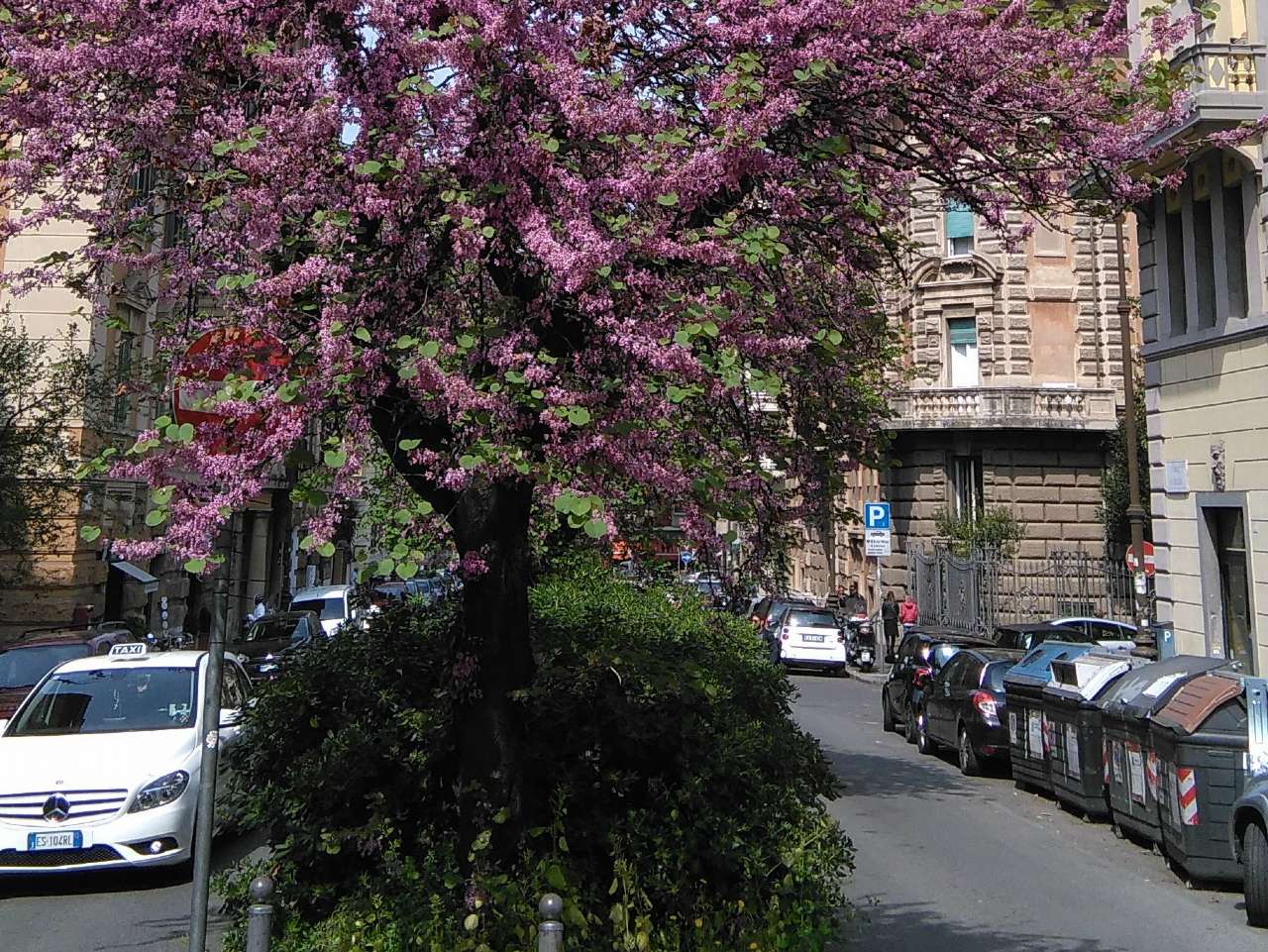 Ufficio - Loc.Com. ROMA affitto  TRIESTE (II MUN.) Gorizia WE HOME REAL ESTATE