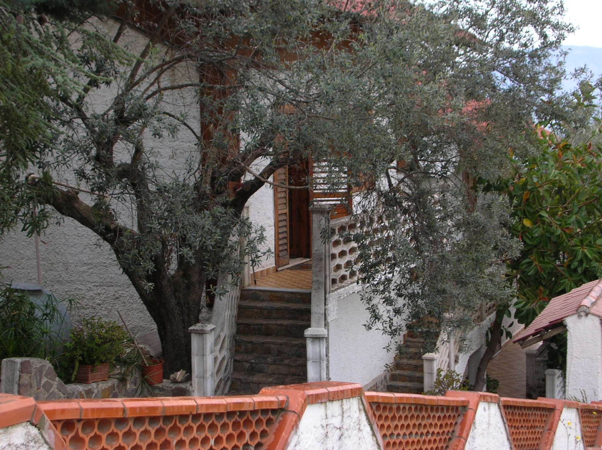 Villa Quadrifamiliare OGLIASTRO CILENTO vendita   via cesare battisti WE HOME REAL ESTATE