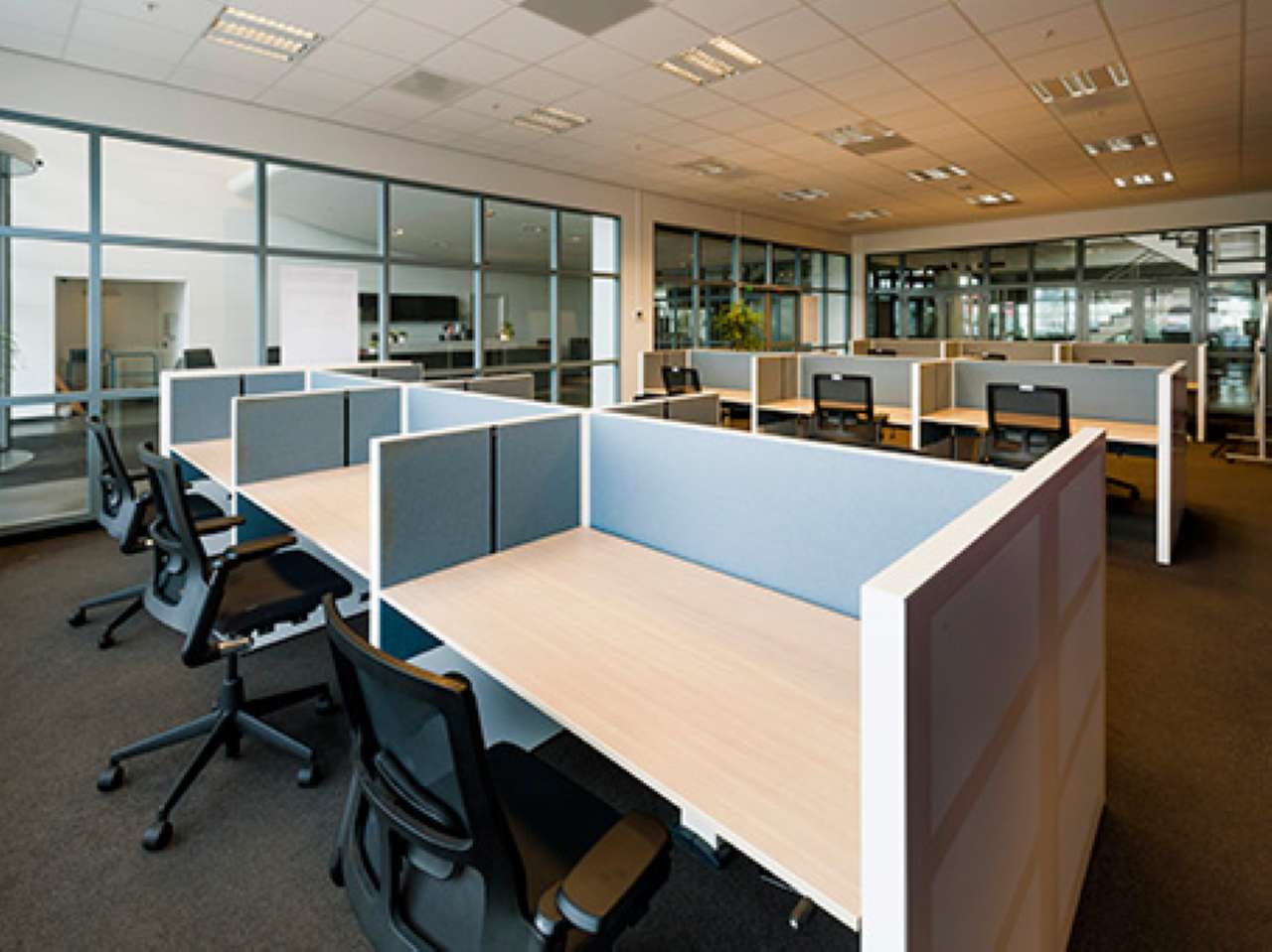  napoli affitto quart: san lorenzo regus