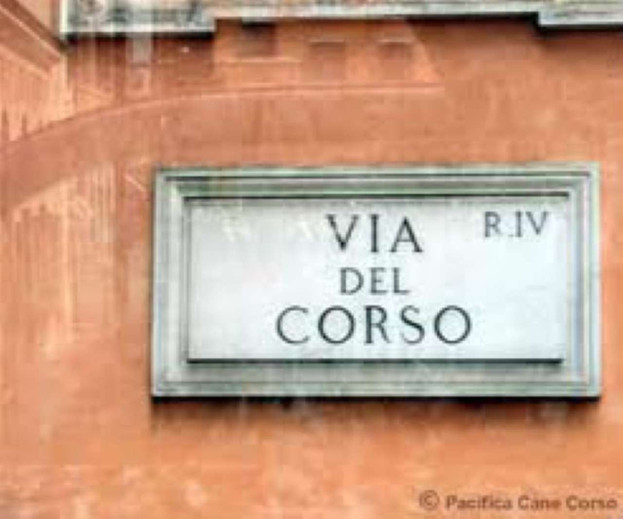 Negozio - Loc.Com. ROMA affitto  Centro storico del corso corsini real estate