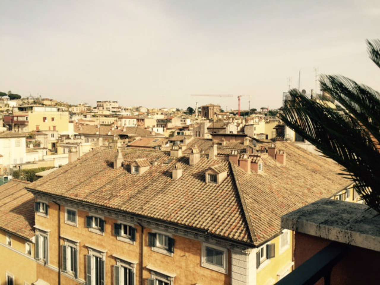 Ufficio - Loc.Com. ROMA vendita  PRATI degli scipioni corsini real estate