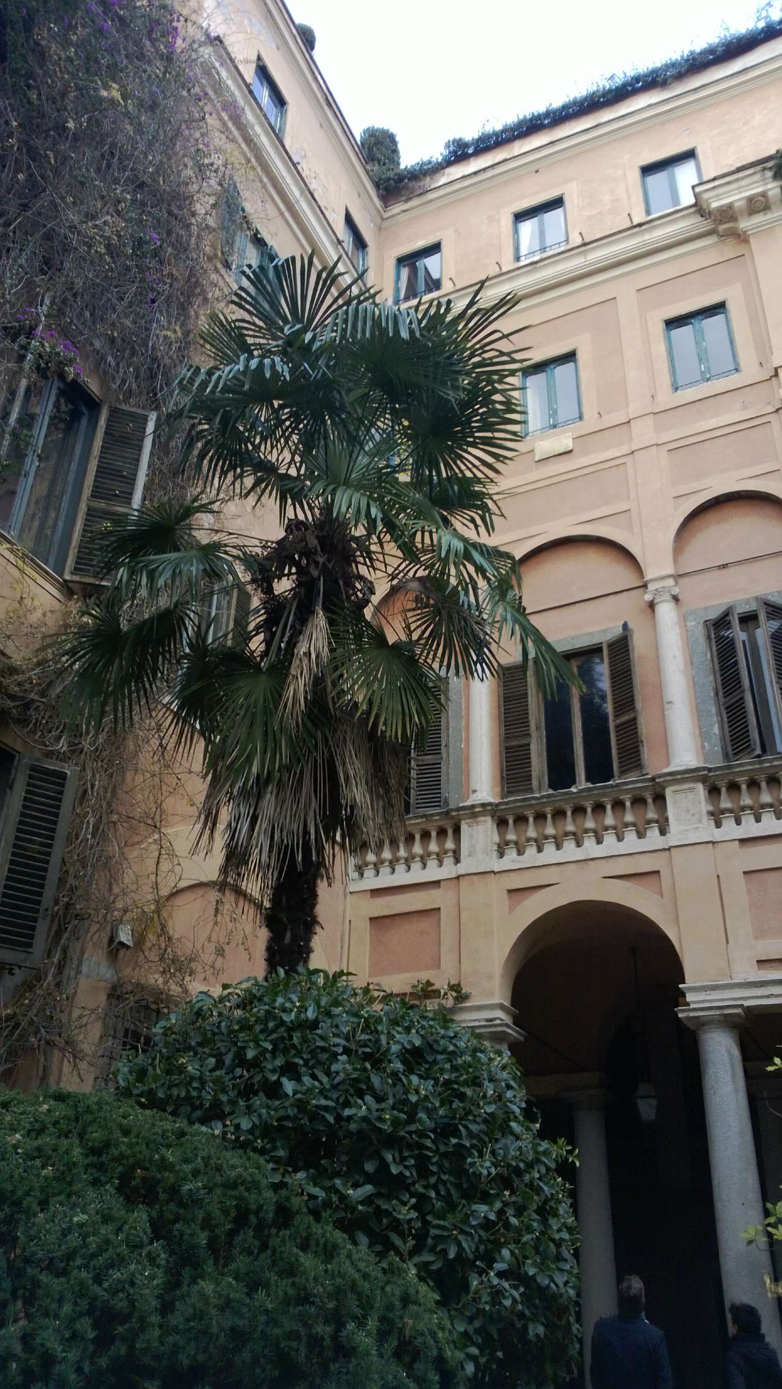 Ufficio - Loc.Com. ROMA affitto  Centro storico del corso corsini real estate