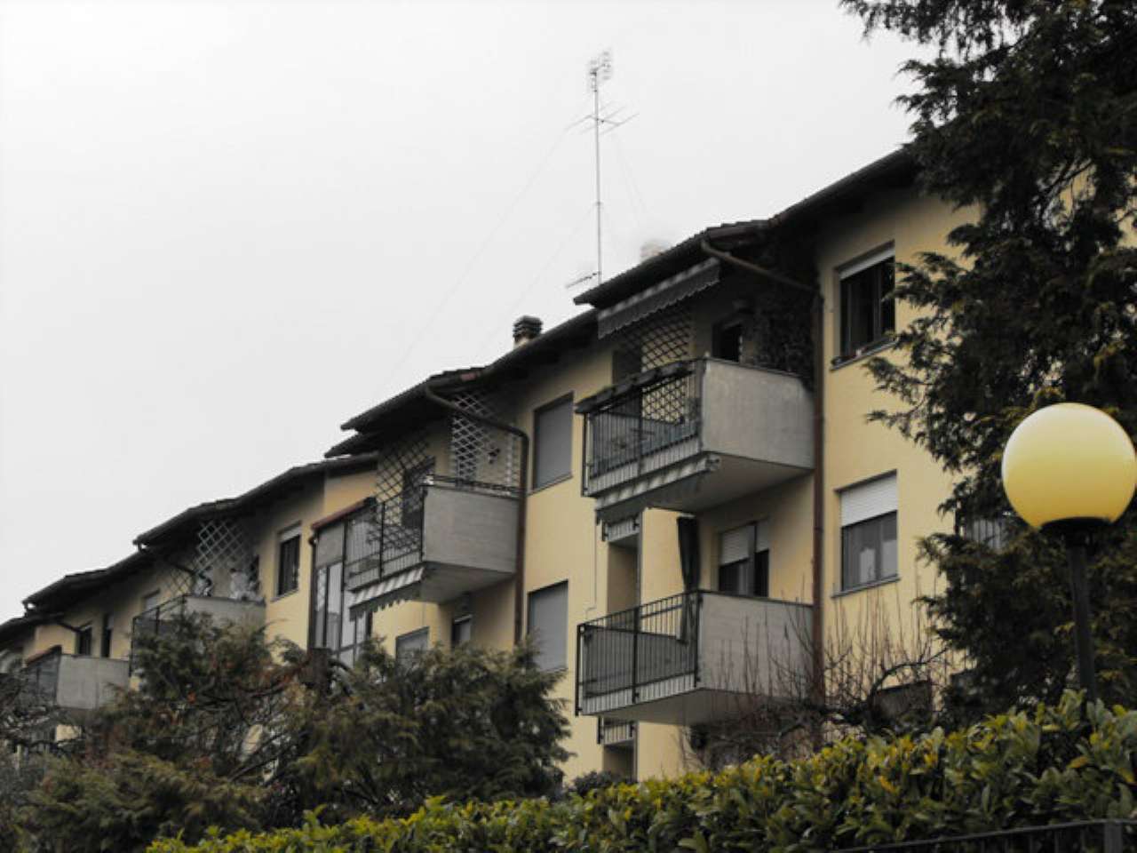 Appartamento MONCALIERI vendita   del Pesco Iati Immobiliare