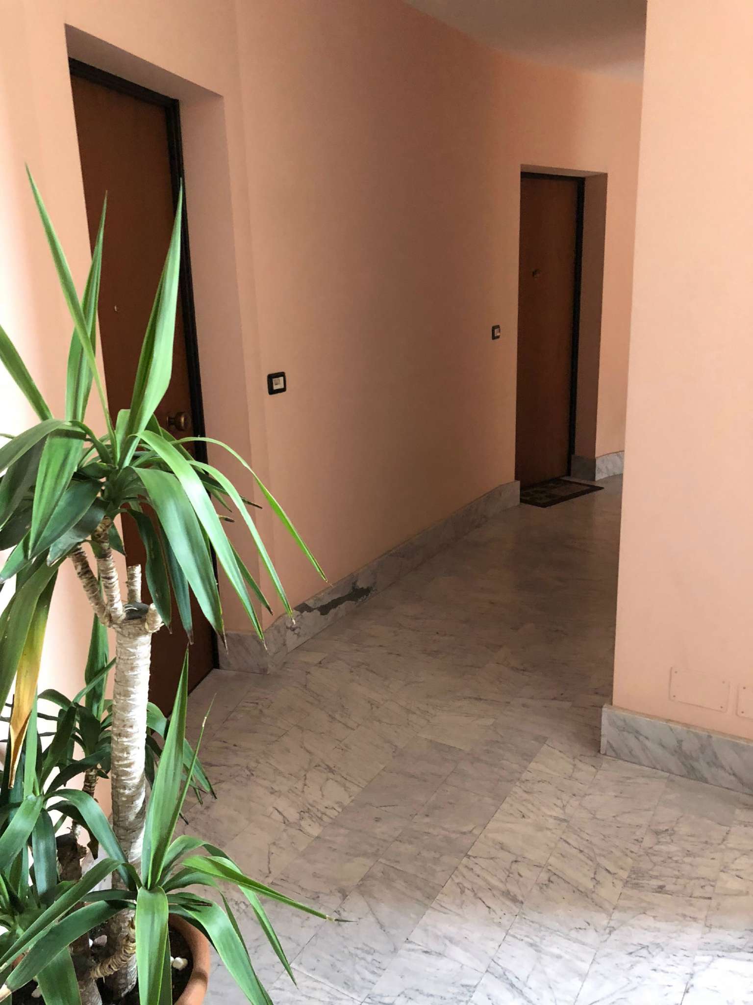 Appartamento TROFARELLO vendita   via Roma Iati Immobiliare