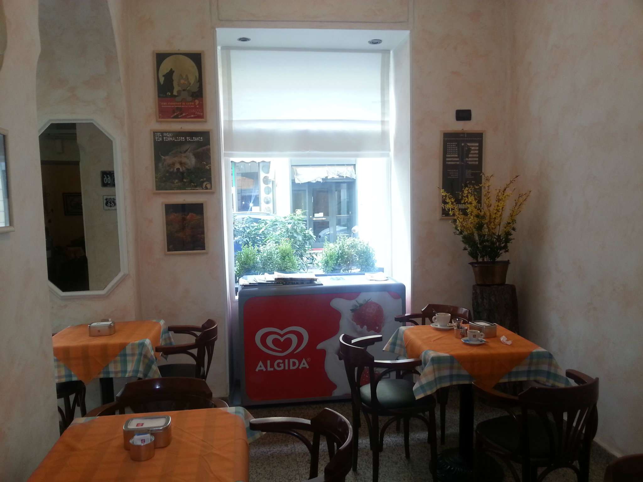 Negozio - Loc.Com. TORINO vendita  CENTRO San Francesco da Paola AMICACASA Immobiliare