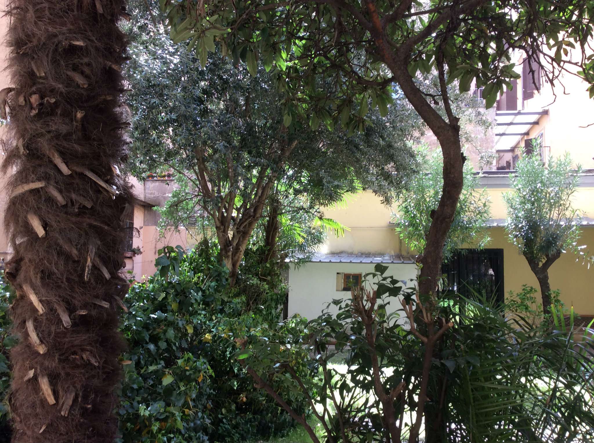 Appartamento ROMA vendita  PRATI camozzi Nobilcasa S.A.S.