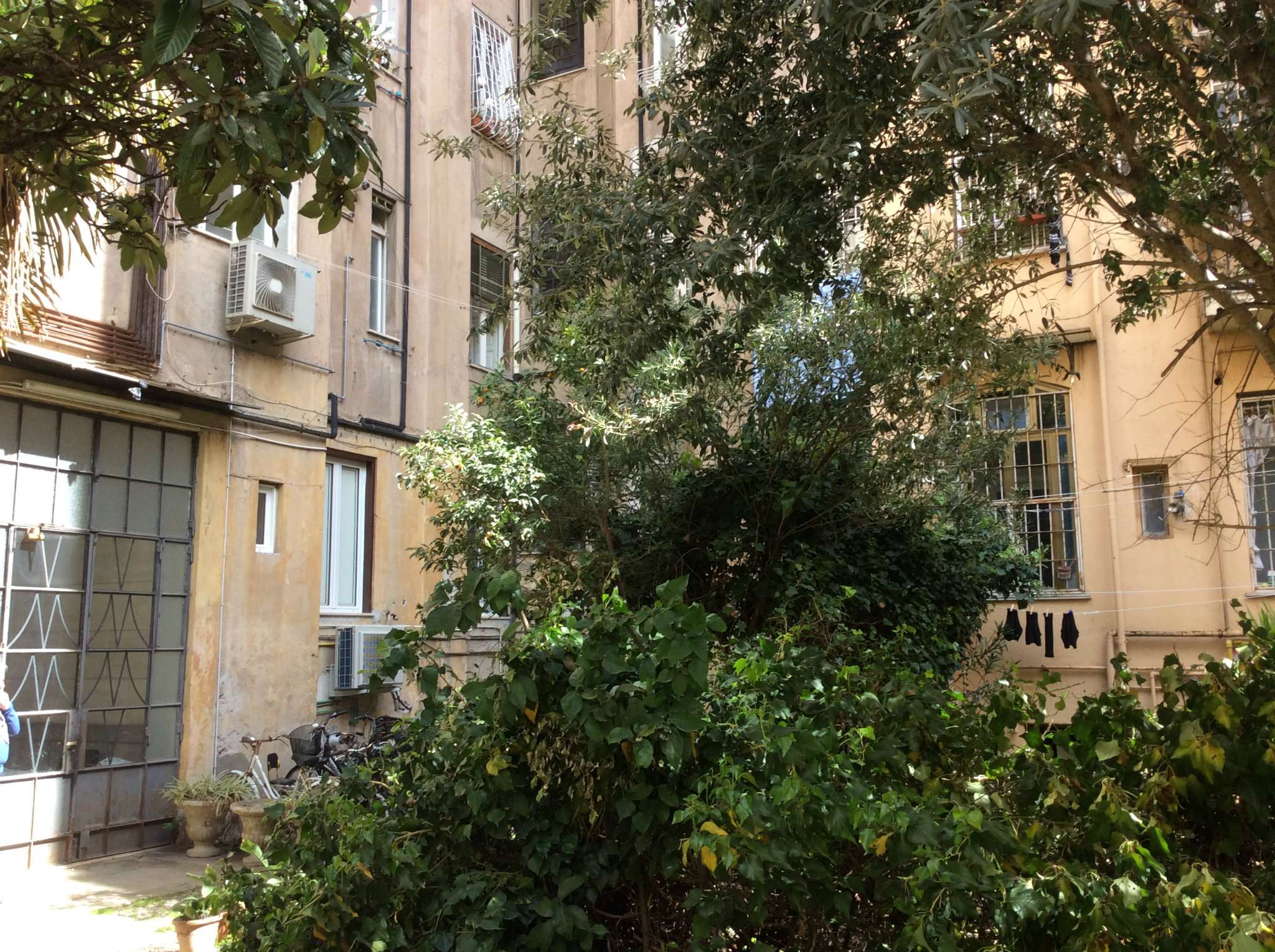 Appartamento ROMA vendita  PRATI camozzi Nobilcasa S.A.S.