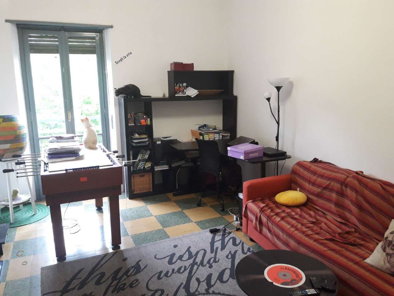 Appartamento TORINO affitto  VANCHIGLIETTA Belgio QUALITYCASA